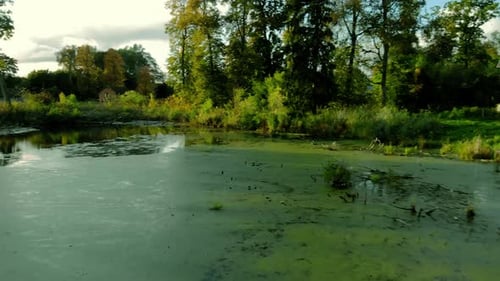 Luftaufnahmen von einem kleinen Teich in der Mitte des Dorfes, Bäume rund um den Teich und hohes Gras auf