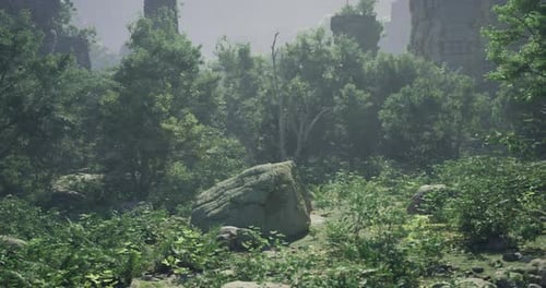 Lush Greenery Surrounds Ancient Ruins in a Serene Forest Landscape