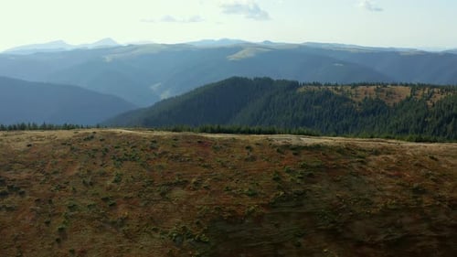 Stunning Green Mountain Road Summer Season Against Big Beautiful Rocky Peaks. Charming