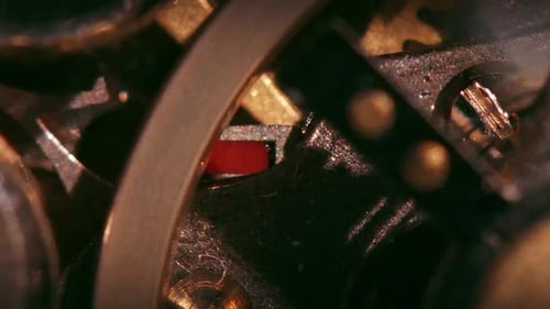 Interior Of A Hand Chronometer
