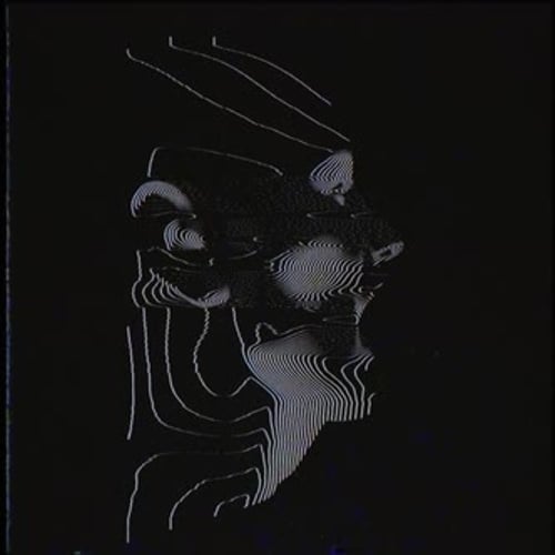 Abstract Glitch Digital Line Art Head Profile Animation