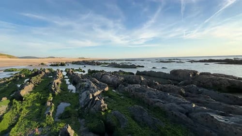 Panoramic View of Wet Rocks Covered with Algae on the Beach After Tide near North Atlantic Ocean in