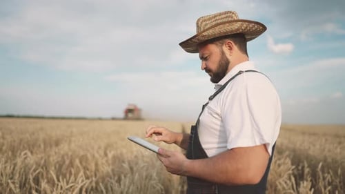 Farmer with Modern Digital Tablet in Picturesque Agricultural Field in Summer Harvest Season in