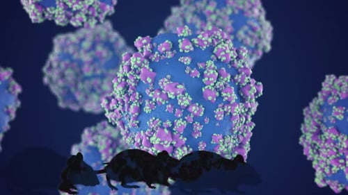 Microscopic View of Hantavirus Virions Floating in the Bloodstream with Silhouettes of Rats Passing