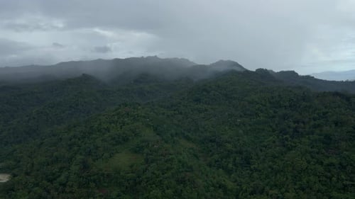 Aerial view of endless mountain rainforest. The fog began to come and shroud the peaks of the mounta