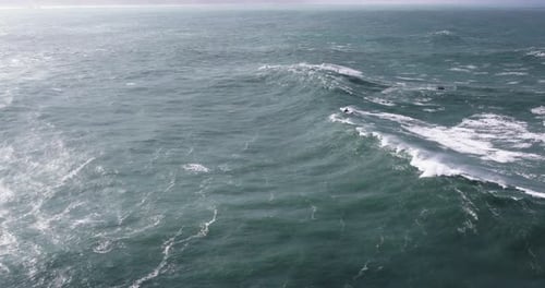 Aerial drone shot of big wave surfer surfing a wave on a day with giant waves in Nazare, Portugal,