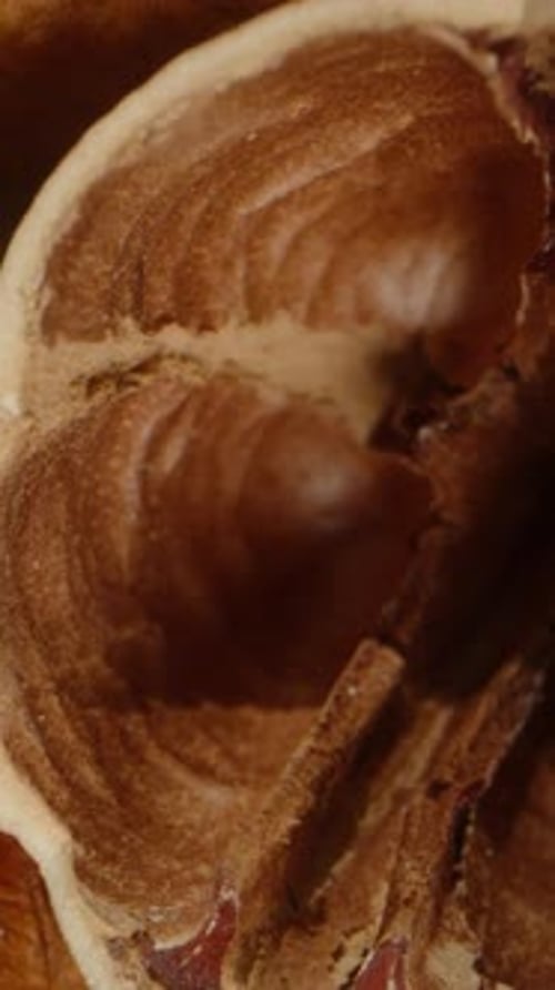 Vertical video. Top view of a table scattered with pecans, the camera slowly lifts upwards.