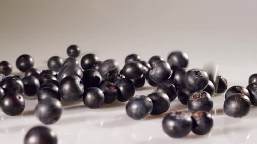 Fresh Blueberries Falling in Slow Motion