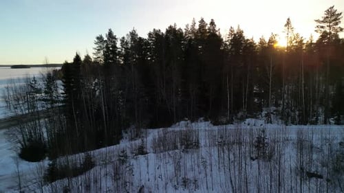 Aerial view of winter landscapes with snow-covered forest in Finland