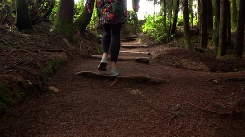 Frauenbeine laufen im Wald, Schotterstraße, Treppe folgt Zeitlupe