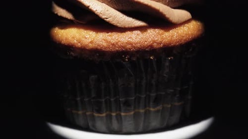 Close Up of Delicious Cupcake with Blueberries