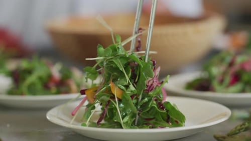 Fresh Salad Preparation for Healthy Eating at Home