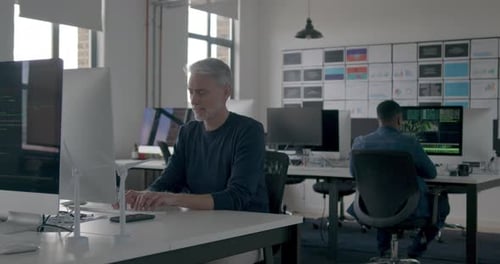 Senior Businessman Working in an Office on Desktop PC