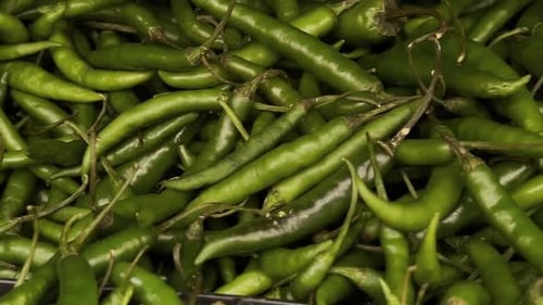 Vista panorâmica esquerda da quantidade de jalapenos verdes picantes