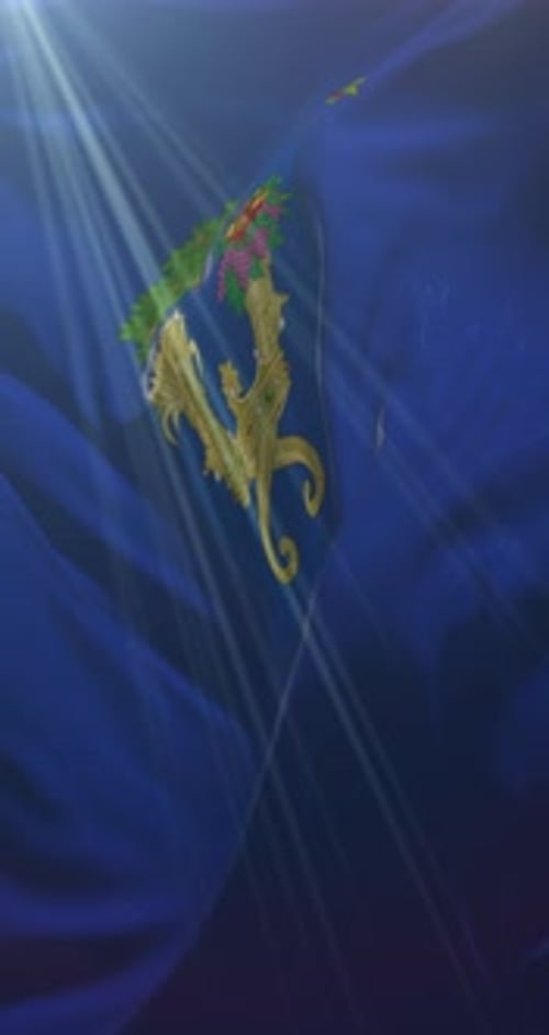 Decorative Golden Emblem Waving on Blue Fabric Background Loop