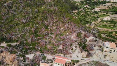 Banyalbufar landscape showcasing storm damage and recovery efforts in Mallorca
