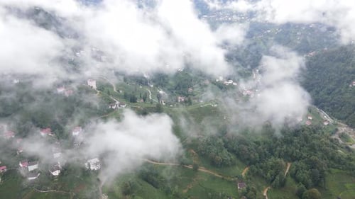 Montagnes Foggy Smoky
