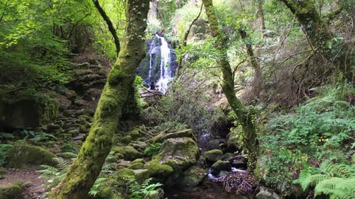 waterfall in the middle of the forest or woods and girl relaxing on top of rock unwinding enjoy natu