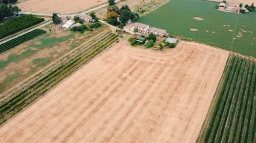 Aerial view of summer field