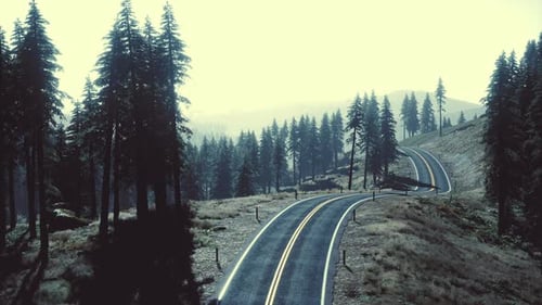 Natürliche Luftaufnahme auf Straße und Wald im Herbst