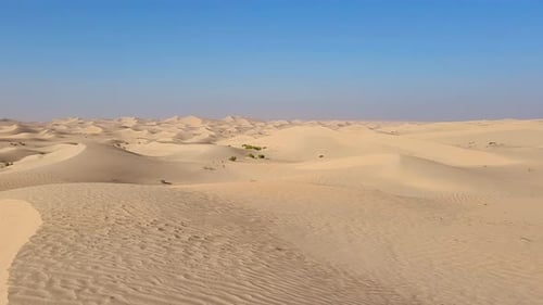 Textured Sand Dunes in the Desert in Abu Dhabi in the Morning