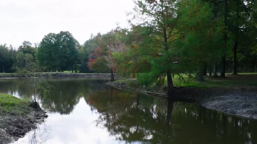 A peaceful pond scene with reflections of autumn foliage and green trees. The quiet water mirrors th