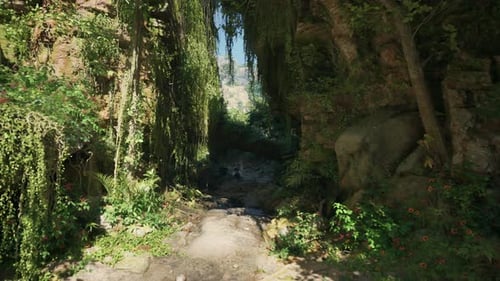 A Serene Forest Path Surrounded By Vibrant Greenery Mountain Path