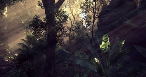 Sunlight Filtering Through Trees in a Serene Forest at Dawn