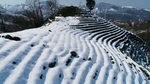 Snow Covered Winter Terraces on a Rural Hillside