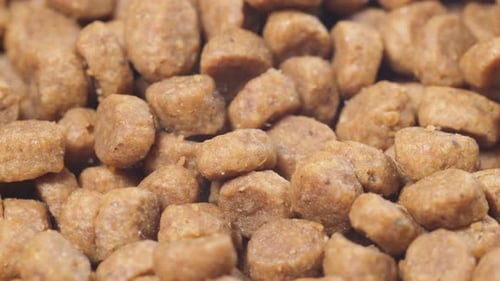 Dry Dog Food Rotates in a Circle Close Up