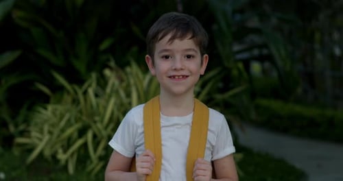 Portrait Handsome of a Happy Cute School Boy a Smiling School Boy a Little Boy with a Backpack