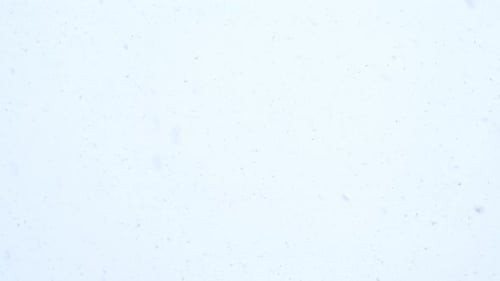 Fallender Schneehintergrund Winterhimmel