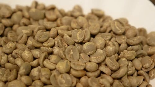 Close Up Footage Of Raw and Unroasted Coffee Beans