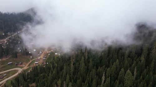 Foggy mountain village in the forest