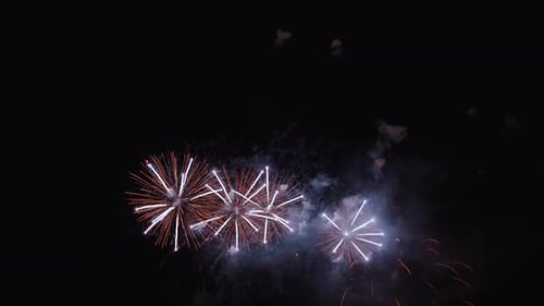 Brilliant Fireworks Explode at Night