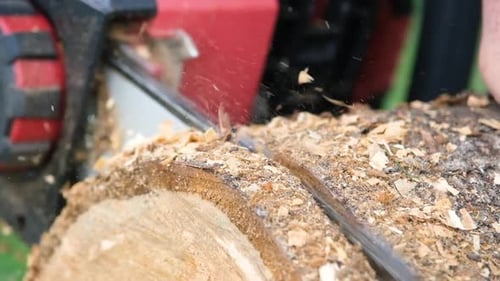 Chainsaw Cutting Through Wood Log in Daylight