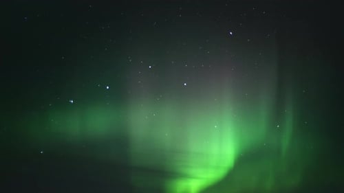 Green Aurora Lights Dancing in Starry Night Sky