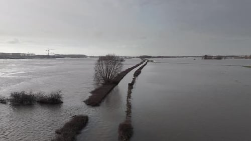 Waal's Overflow: Veerweg Submerged in the High Waters of the River