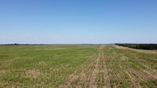 Blue Tractor O.A. Planting Canola On No Till Field
