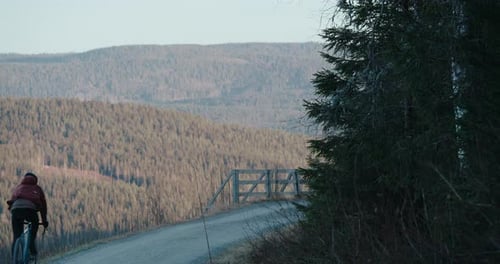 Cyclist Ride Gravel in Woods Story