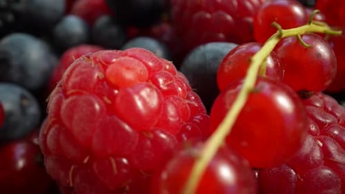 Fresh Berries: Raspberries, Blueberries, Blackberries Close Up