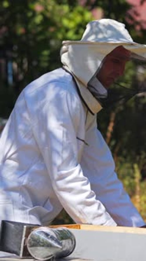 Male apiarist on a bee farm. Beekeeper in white protective suit working near beehives among nature.