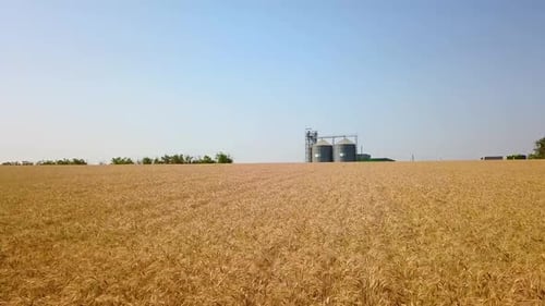 Vue aérienne d'un élévateur à grains devant un champ de blé, drone quadricoptère, caméra volant vers la farine ou l'huile