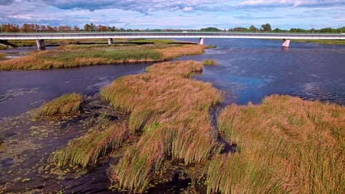 Scenic aerial view of a river delta with tall grasses in Latvia