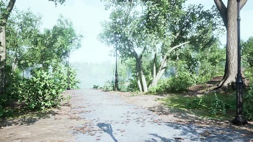 Paths in the Park Zone