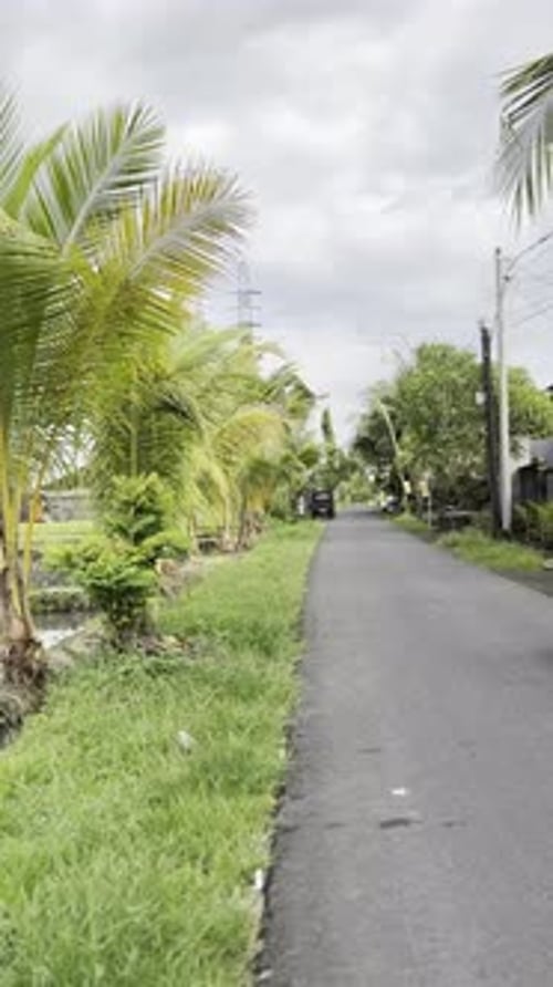 Route tranquille à Kaba Kaba, Bali