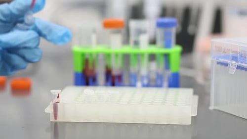 Laboratory Sample Preparation with Gloved Hand