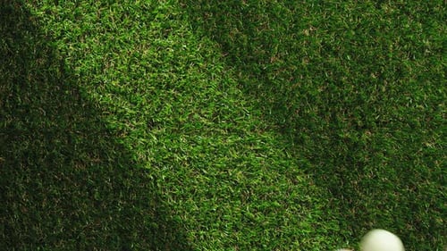 Easter Eggs Fall Down On Green