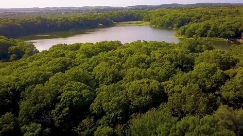 Fast aerial shot of green forest trees and lake water