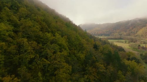 Aerial View of Green Hills and Verdant Trees